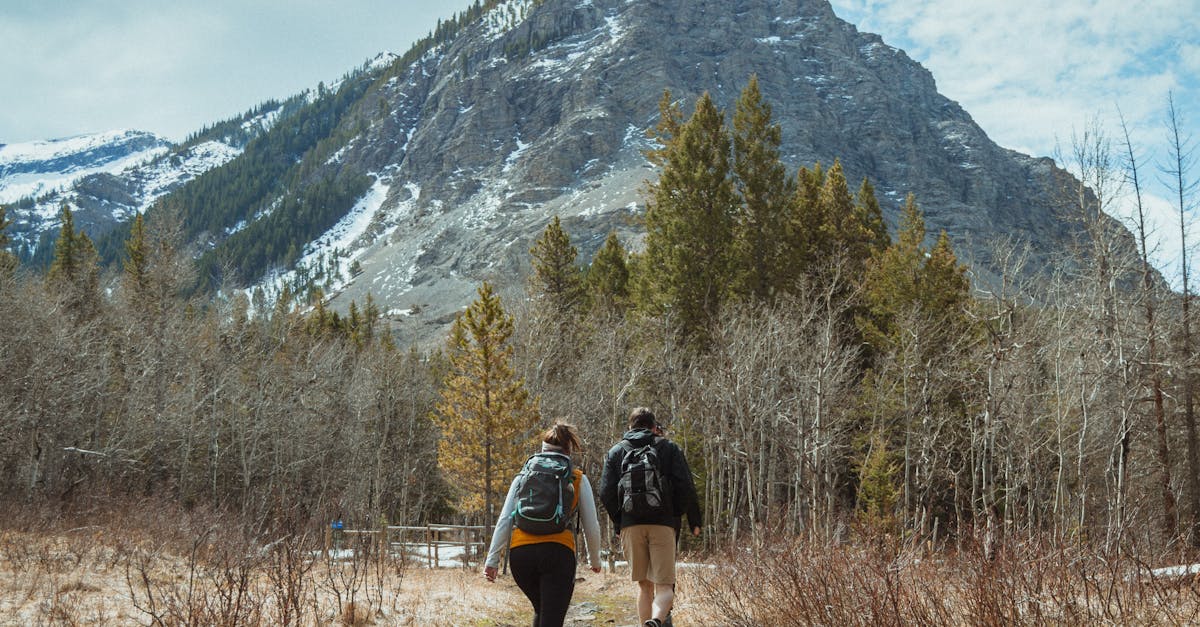 Hikers exploring a mountain trail during springtime with a stunning landscape view.